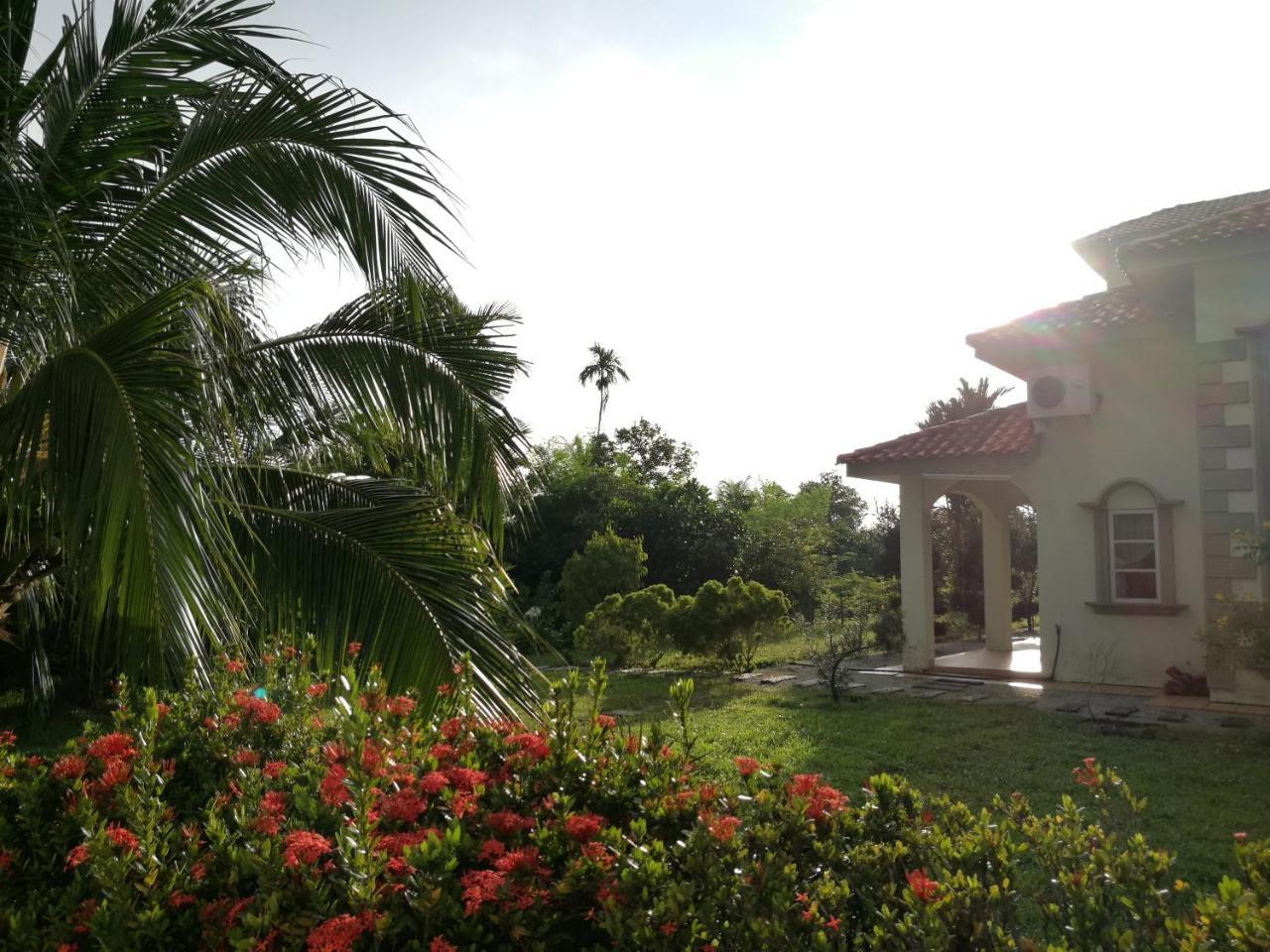 Guesthouse Dragon Place Taiping Exterior foto